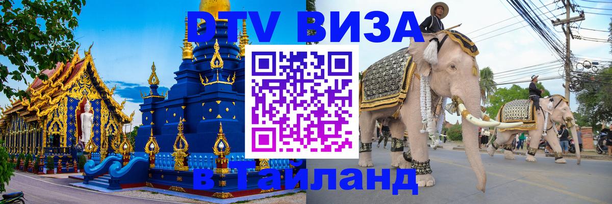 Сколько стоит DTV виза — актуальные цены, оформление даже без документов - Рубцовск 